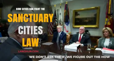 Cities' Strategies to Combat the Sanctuary Cities Law