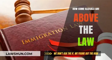 Illegal Immigration and the Law: Are Some Above the System?