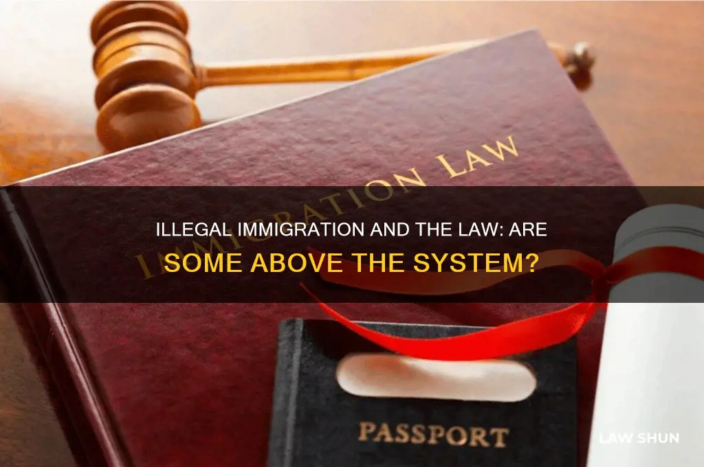 how come illegals are above the law