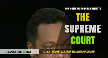 Why the 1994 Law Ended Up in the Supreme Court