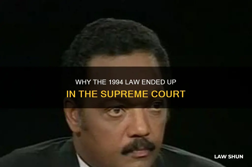 how come the 1994 law went to the supreme court
