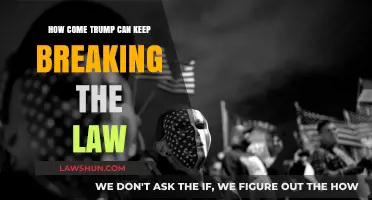 Trump's Law-Breaking: Why No Consequences?
