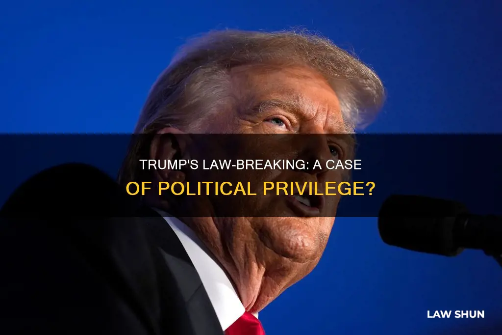 how come trump gets to break the law