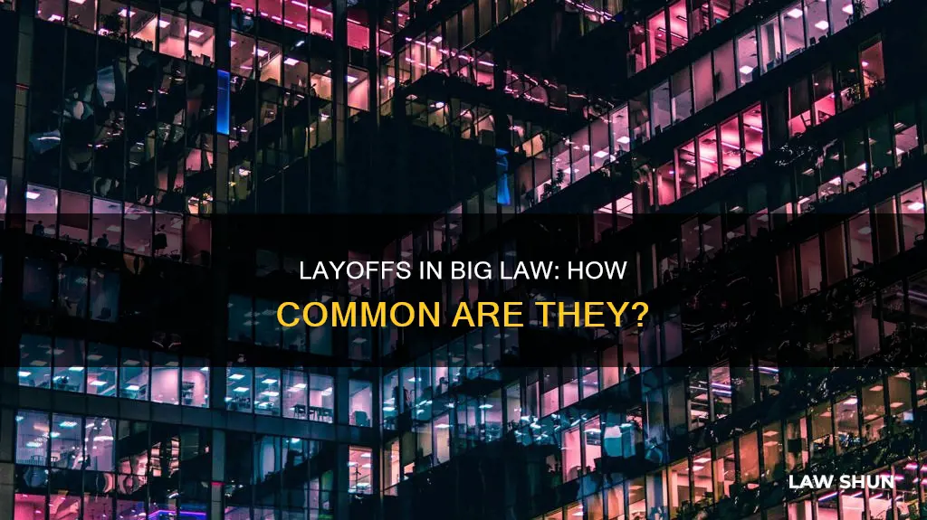how common are layoffs in big law