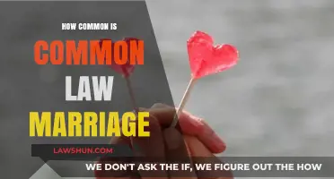 Common-Law Marriage: How Widespread Is It?
