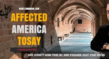 Common Law's Influence on Modern America