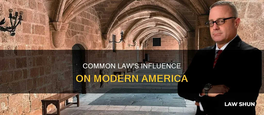 how common law affected america tosay