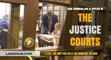 Justice Courts: Applying Common Law