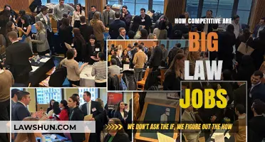 The Fierce Competition for Big Law Jobs: Myths and Realities
