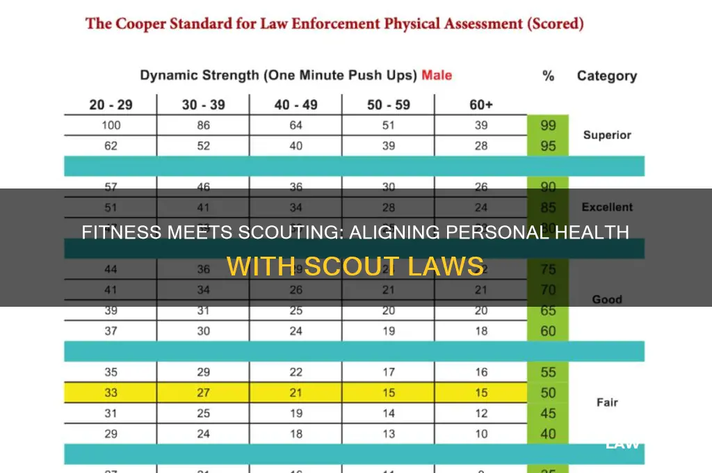 how components of personal fitness relate to scout laws