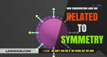 Symmetry's Role in Conservation Laws: Unlocking Nature's Balanced Principles
