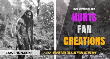 Copyright's Grip: How Fan Creations Face Legal Barriers