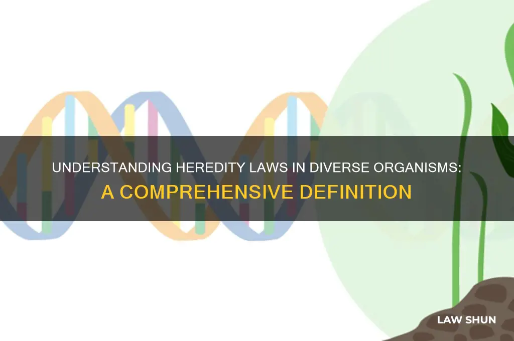 how could you define laws of heredity for these organisms