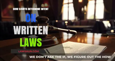 Decoding Legal Intent: How Courts Interpret Written Laws and Statutes
