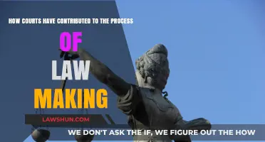 Judicial Influence: Courts' Role in Shaping Law-Making Processes