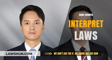 Understanding Judicial Interpretation: How Courts Decipher and Apply Laws