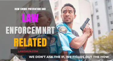 Crime Prevention and Law Enforcement: A Collaborative Approach to Safer Communities