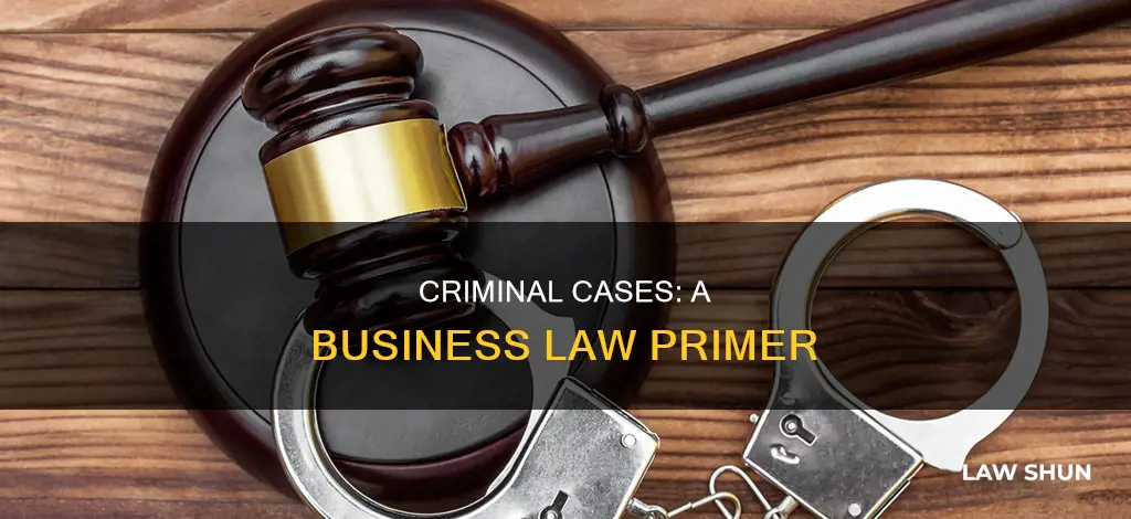 how criminal case help you in business law