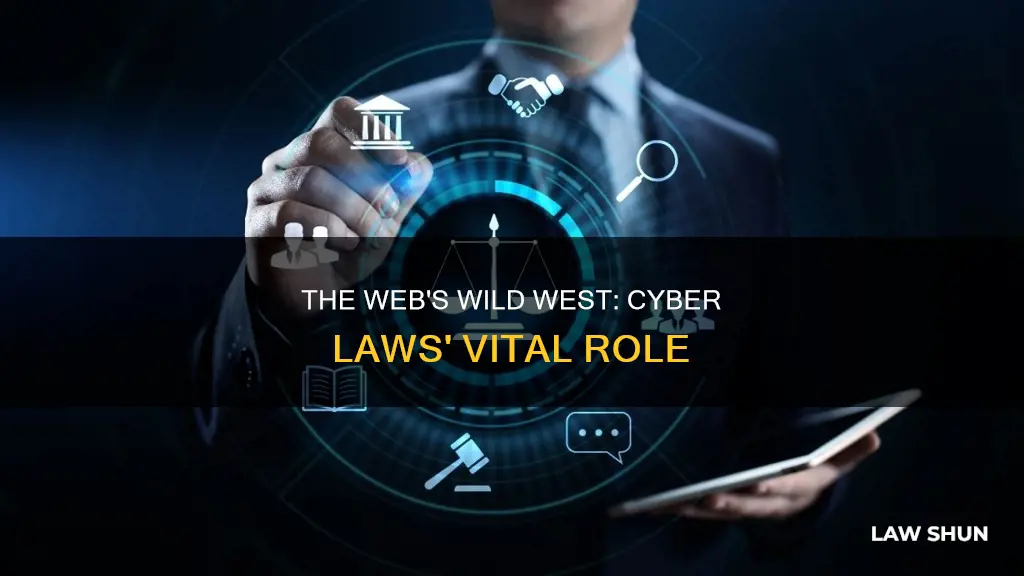 how cyber laws become important