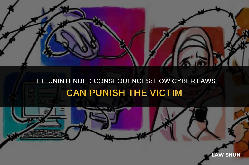 how cyber laws punish the victim