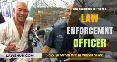 The Perils of the Badge: Risks Law Enforcement Officers Face Daily