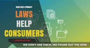 Empowering Consumers: The Impact of Data Privacy Laws