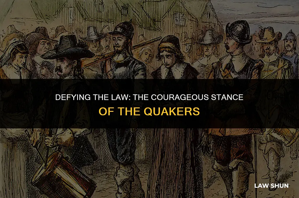 how ddi quakers dify the law