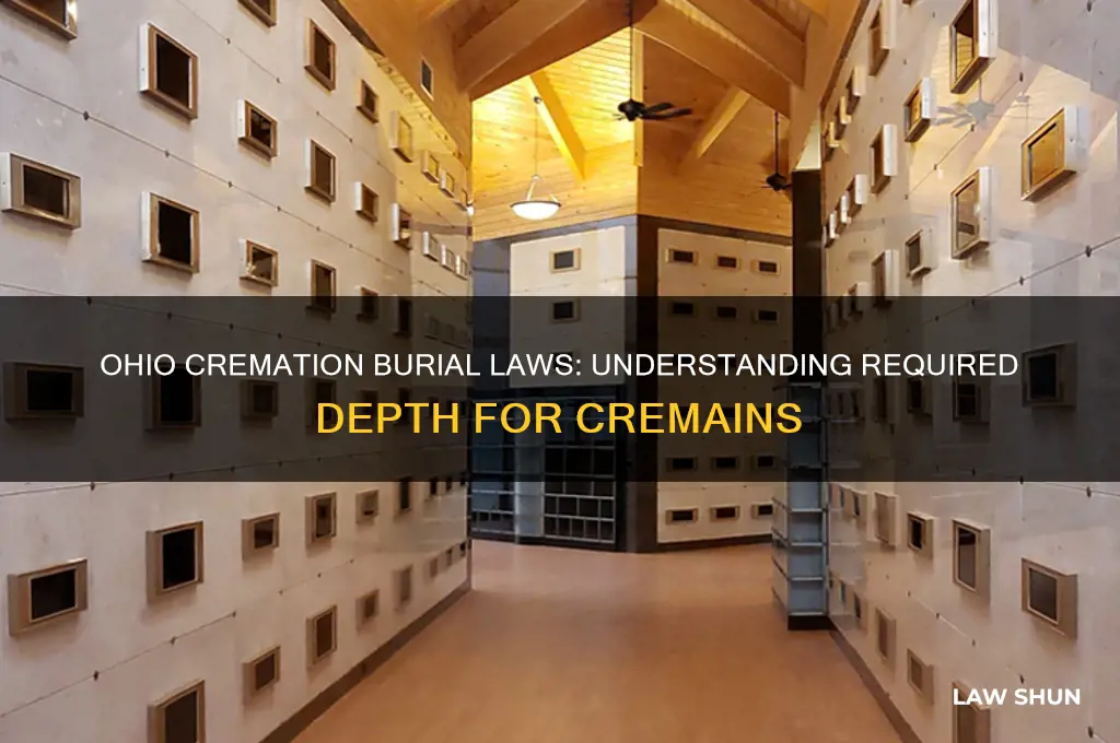 how deep should cremains be buried by ohio laws