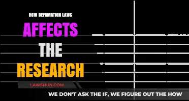 Defamation Laws: Impact on Academic Research and Free Inquiry