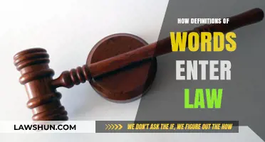 Words into Law: How Definitions Shape Legal Interpretation and Application