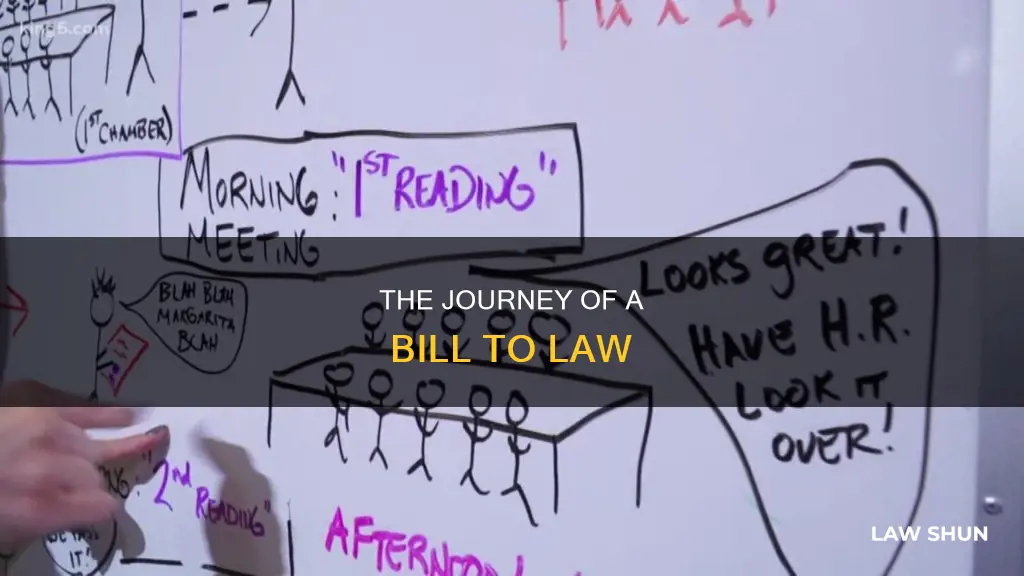 how deos a bill become a law