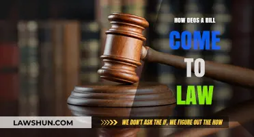 From Proposal to Law: Understanding the Journey of a Bill