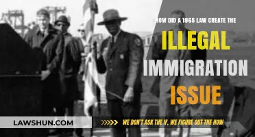 Immigration Act of 1965: Origins of Illegal Immigration Crisis