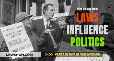 Abortion Laws: Political Influence and Impact