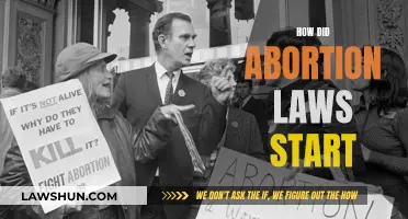 The Origin of Abortion Laws: A Historical Perspective