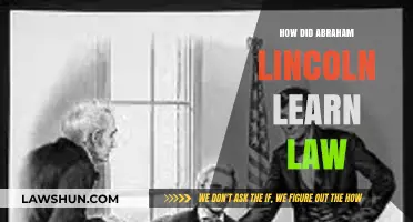 Abraham Lincoln's Journey to Law: A Self-Taught Legacy