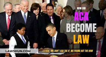 ACA Law: How Did It Pass?