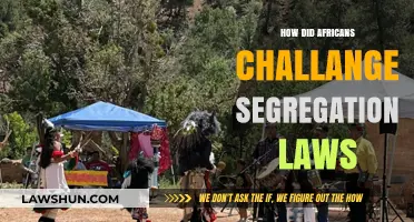 Resilience and Revolt: Africans Challenging Segregation Laws