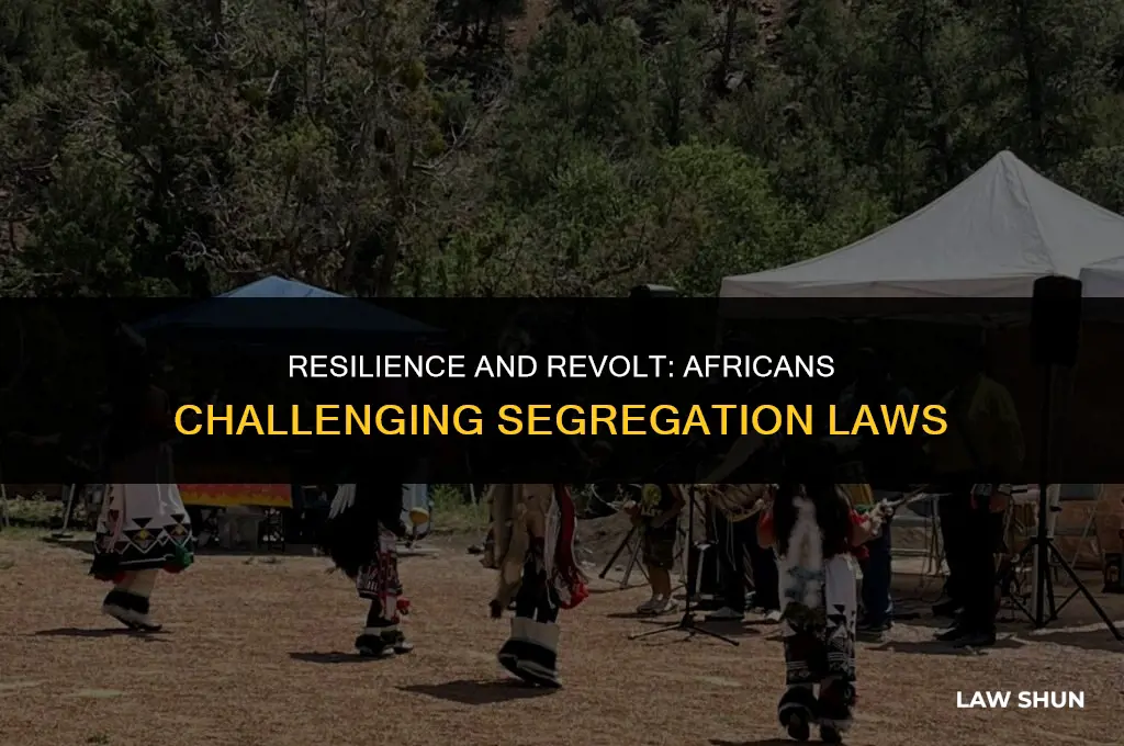 how did africans challange segregation laws