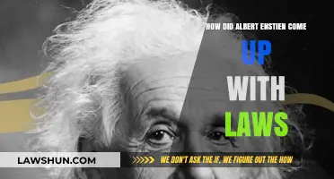 Unraveling Einstein's Genius: The Birth of His Revolutionary Laws