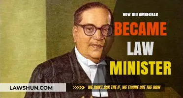From Advocate to Law Minister: Ambedkar's Journey to Justice