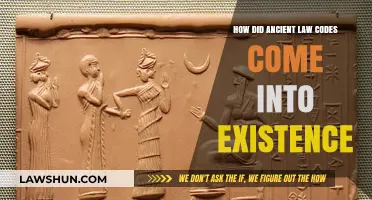 Origins of Ancient Law Codes: Evolution and Societal Necessity Explored