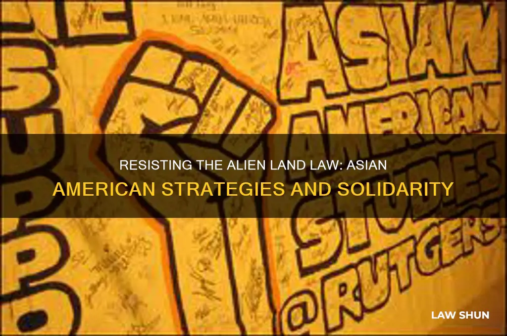how did asian americans respond to the alien land law