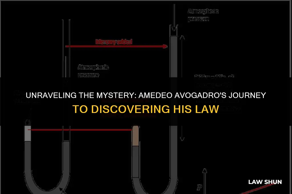 how did avogadro discover his law