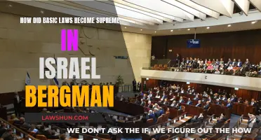 Israel Bergman's Basic Laws: Supreme Power