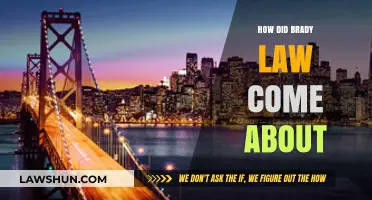 The Brady Law's Origin: A Journey to Gun Control Legislation