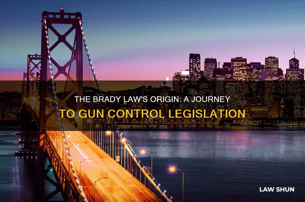 how did brady law come about