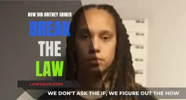 The Legal Troubles of Britney Griner: What Happened?