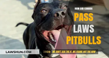Canada's Strict Laws on Pitbulls: Banning and Restrictions
