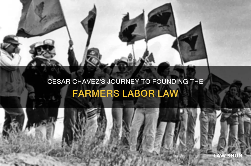 how did cesar chavez found the farmers labor law